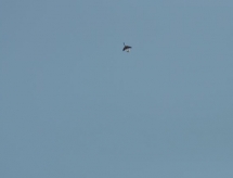 dsc_0119.jpg