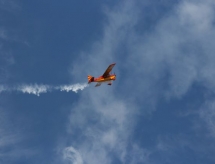 img_6645.jpg