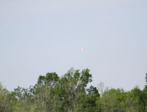 img_4881.jpg