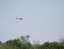 img_4899.jpg