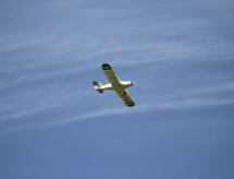 img_5005.jpg