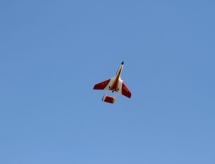 img_9320.jpg