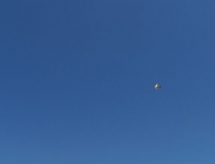 hid_077.jpg