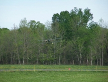 2013_holiday_in_dixie_051.jpg