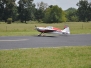 2009_Big_Bird