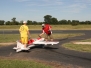 2010_Big_Bird