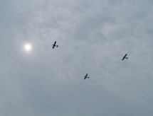100_3024.jpg