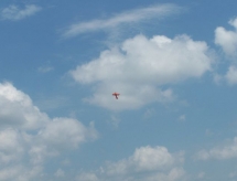 hf_022.jpg