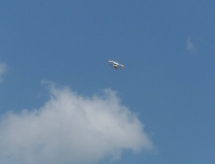 hf_028.jpg